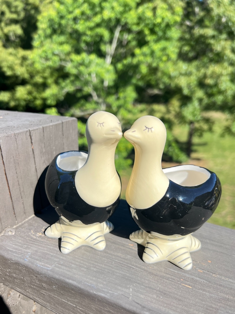 Cottage Ceramic Duck Planter Set Black White Bird Pots Succulent Planters New